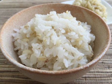 むーむー 雑穀 白もち麦 佐賀嬉野産