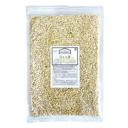 むーむー 雑穀 白もち麦 佐賀嬉野産