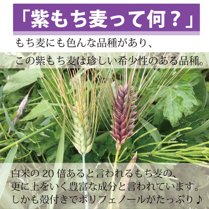 むーむー 雑穀 紫もち麦 無農薬