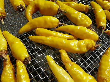 太宰府薬味研究所 国乃一味 黄