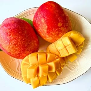 むーむー ジュース ギフト マンゴー 1L2本入り 無添加